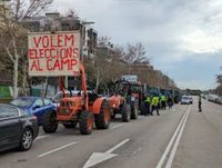La tractorada por la supervivencia del sector primario ya recorre el centro de Palma: "Payesía o muerte"