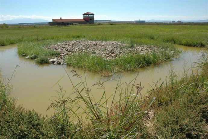 Zona de cultivos e instalaciones ambientales