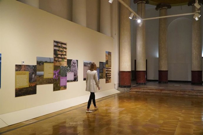 Exposición 'Espacios Naturales' en la Misericordia.
