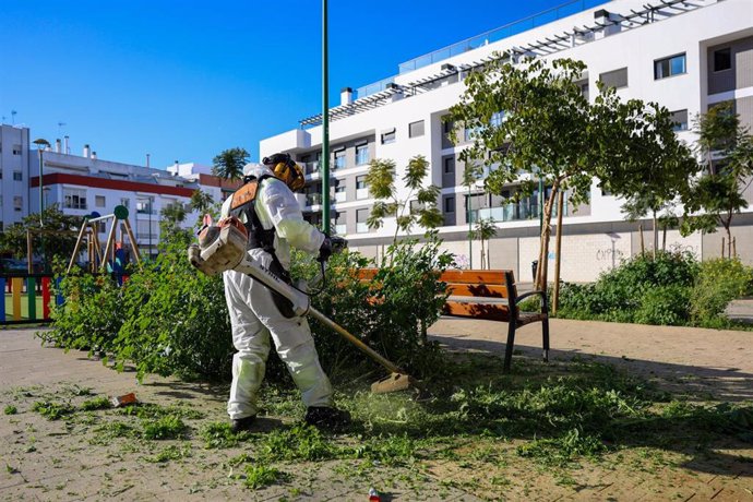 Un operario de Lipasam realiza labores de desbroce.