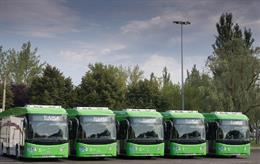 Archivo - Autobuses de Tuvisa