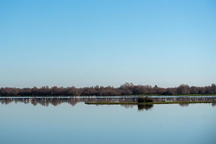 Imágenes del Parque Natural de Doñana.