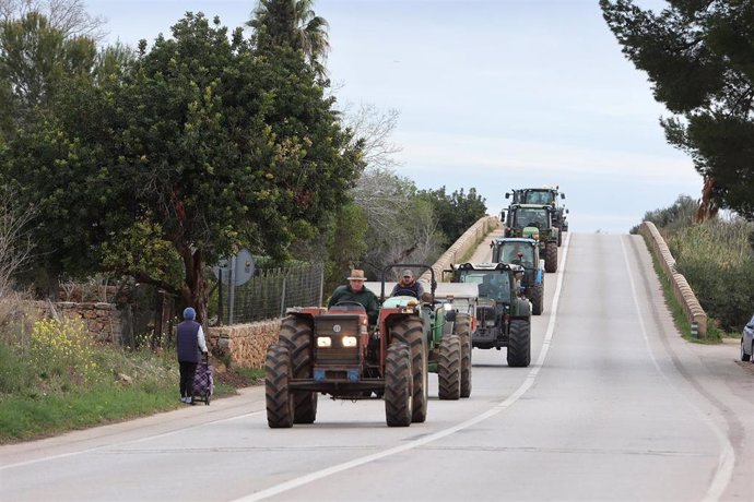 Tractores entran por una carretera al centro de Palma.