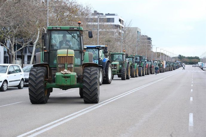 Tractores entran por una carretera al centro de Palma durante el décimo cuarta jornada de protestas de los tractores en las carreteras españolas, a 19 de febrero de 2024, en Palma de Mallorca, Mallorca, Baleares (España). Agricultores y ganaderos de tod
