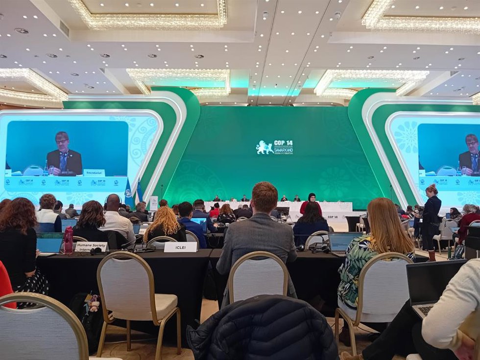 Asistentes de la 14 Reunión de la Conferencia de las Partes de la Convención sobre la Conservación de las Especies Migratorias de Animales Silvestres (COP14CMS).