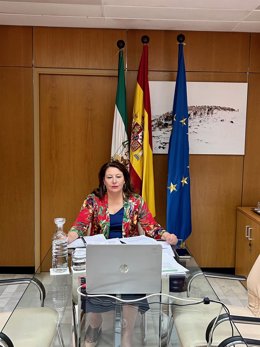 La consejera de Agricultura, Pesca, Agua y Desarrollo Rural de la Junta, Carmen Crespo, ha participado, vía online, en el Consejo Consultivo con el ministro de Agricultura, Pesca y Alimentación y el resto de los consejeros de las demás CCAA.