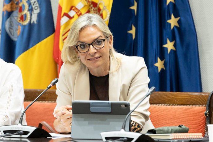 La consejera de Sanidad del Gobierno de Canarias, Esther Monzón, en sede parlamentaria