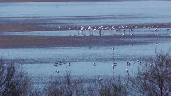 Vídeo de la noticia