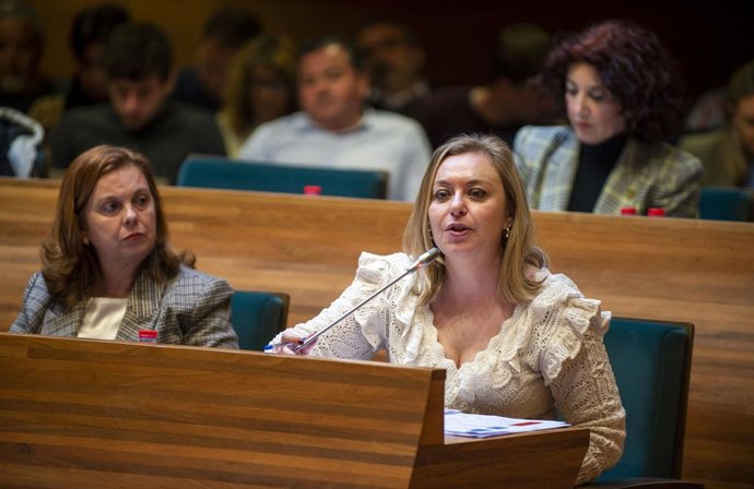 La vicepresidenta primera de la Diputació de Valencia, titular d'Igualtat en aquesta institució i diputada d'Ens Uneix, Natlia Enguix, durant el ple de la corporació provincial.