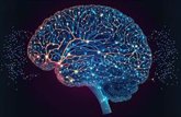 Foto: Un proyecto europeo crea cerebros gemelos virtuales en pacientes psiquiátricos para desarrollar nuevos tratamientos