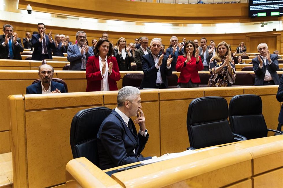 El ministro del Interior, Fernando Grande-Marlaska, durante una sesión plenaria en el Senado