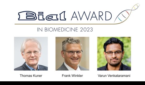 Comunicados Internacional