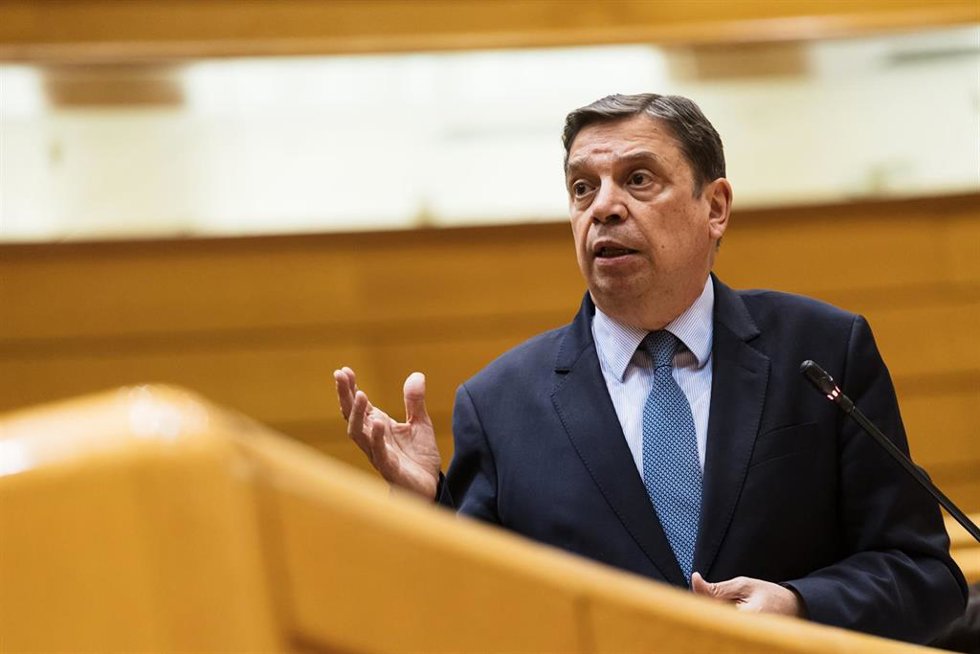 El ministro de Agricultura, Pesca y Alimentación, Luis Planas