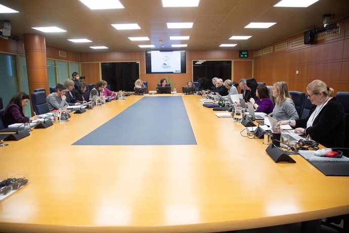 Sagardui ha presentado la 'Estrategia de Salud Mental de Euskadi 2023-2028' en la Cámara autonómica