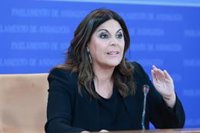 El PSOE-A llevará al TC el cuarto decreto-ley andaluz de simplificación administrativa