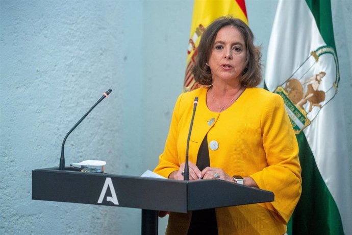 La consejera de Salud y Consumo Catalina García Carrasco interviene  durante la rueda de prensa posterior al Consejo de Gobierno. A 21 de febrero de 2024, en Sevilla,  Como cada martes, el Consejo de Gobierno de la Junta de Andalucía se reúne en Palacio d