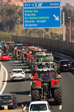 Imagen de los tractores en la circunvalación de Murcia que se han movilizado en defensa del campo convocados por las organizaciones agrarias