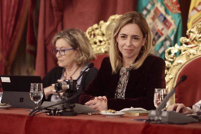  La presidenta de la Diputación, Almudena Martínez, preside el Pleno ordinario de la institución provincial del mes de febrero para tratar asuntos de actualidad.