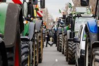 Un 4% menos de intensidad de tráfico en las entradas a Madrid en hora punta por las protestas de agricultores