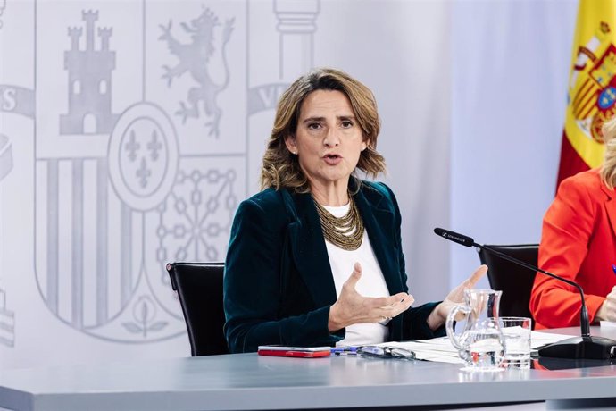 La vicepresidenta tercera y ministra para la Transición Ecológica y el Reto Demográfico, Teresa Ribera, durante una rueda de prensa posterior a la reunión del Consejo de Ministros, en el Palacio de la Moncloa, a 20 de diciembre de 2024, en Madrid (España)