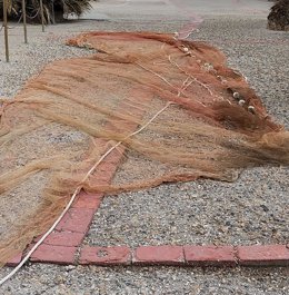 Red ilegal para capturar inmaduros en la Isleta del Moro, en el parque natural de Cabo de Gata-Níjar (Almería)