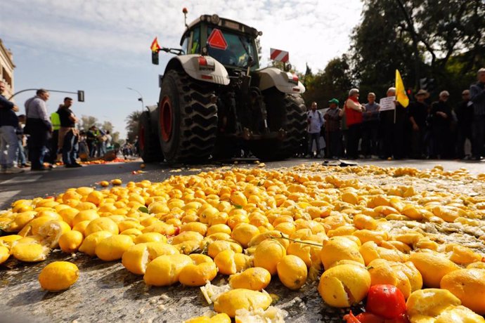 Los agricultores se encuentran en el Paseo Teniente Flomesta donde han realizado una protesta en la puerta de la Delegación del Gobierno