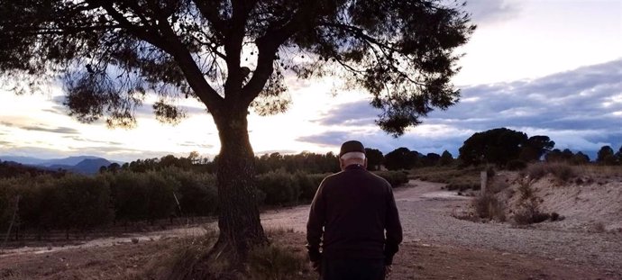 Anciano de espaldas en el campo