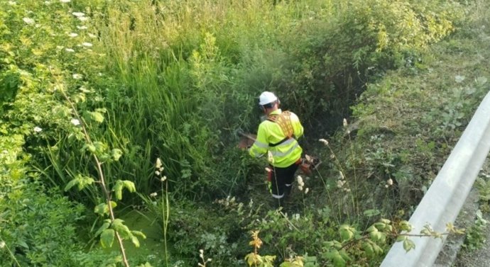 Archivo - La Confederación Hidrográfica del Cantábrico hace trabajos de conservación y mantenimiento en los arroyos de Veranes y de la Pedrera, en Gijón (Archivo)