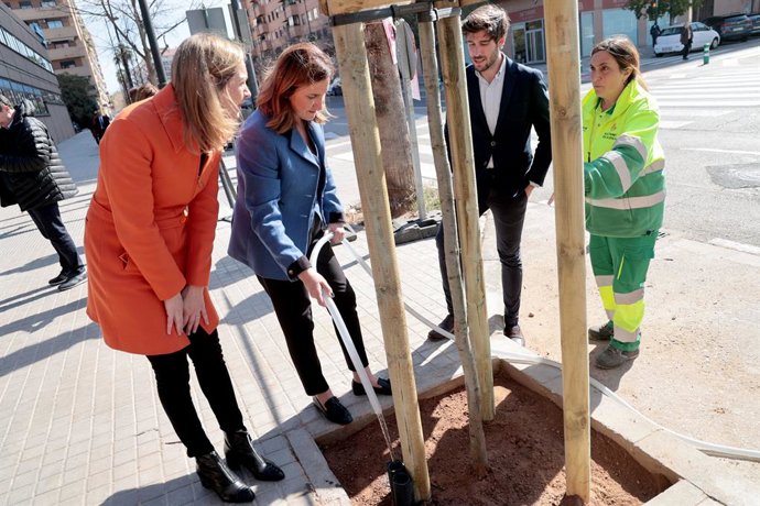 L'Ajuntament de València comença la plantació de més de 200 arbres en 11 districtes de la ciutat