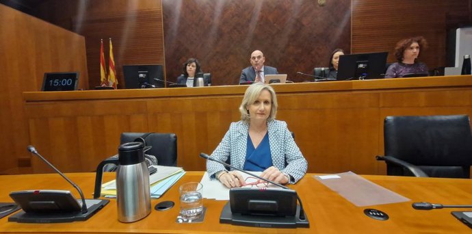La gerente del Servicio Aragonés de Salud (Salud), Ana Castillo.