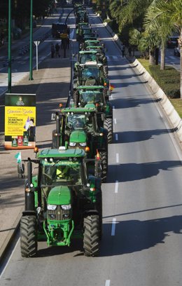 Cientos de agricultores se concentran como protesta en el Paseo del Parque de Málaga.