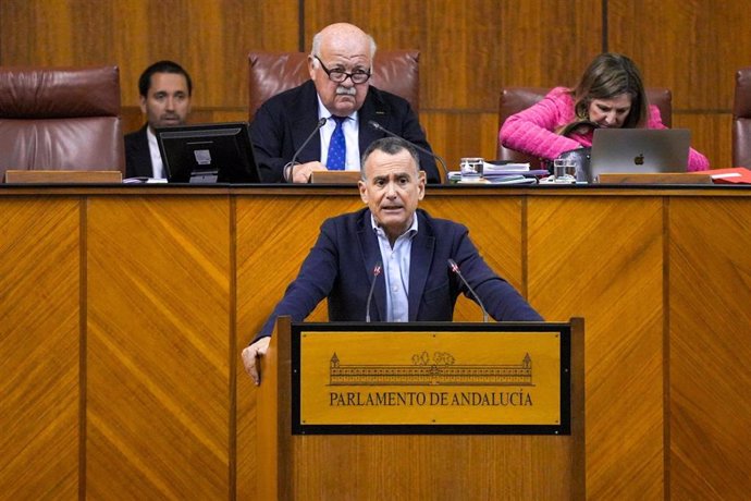 El diputado del PP-A Pablo Venzal interviene en el Pleno del Parlamento andaluz.