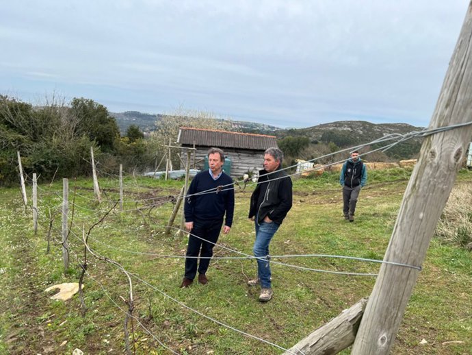 El consejero de Desarrollo Rural, Ganadería, Pesca y Alimentación, Pablo Palencia, visita la finca de la productora Bodegas Miradorio, en Ruiloba, tras el ataque del lobo sufrido, con ocho ovejas muertas
