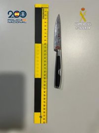 Desarticulada una banda especializada en robos violentos con arma blanca en varios municipios de Alicante