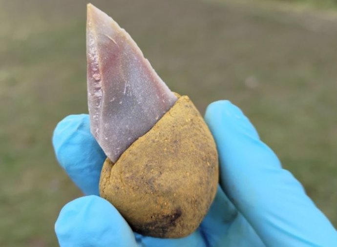 Una herramienta de piedra pegada a un mango hecho de betún líquido con un 55 por ciento de ocre añadido. Ya no es pegajoso y se puede manipular fácilmente.