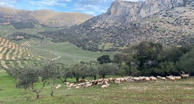 Andalucía