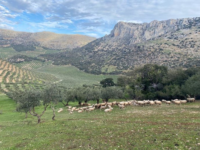 Finca regenerativa el Valle del Conde.