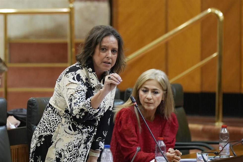 La consejera de Salud y Consumo Catalina García, durante su intervención en la sesión plenaria. A 22 de febrero de 2024, en Sevilla (Andalucía, España).  