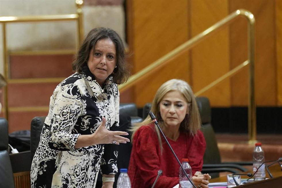 La consejera de Salud y Consumo Catalina García, durante su intervención en la sesión plenaria de este jueves.