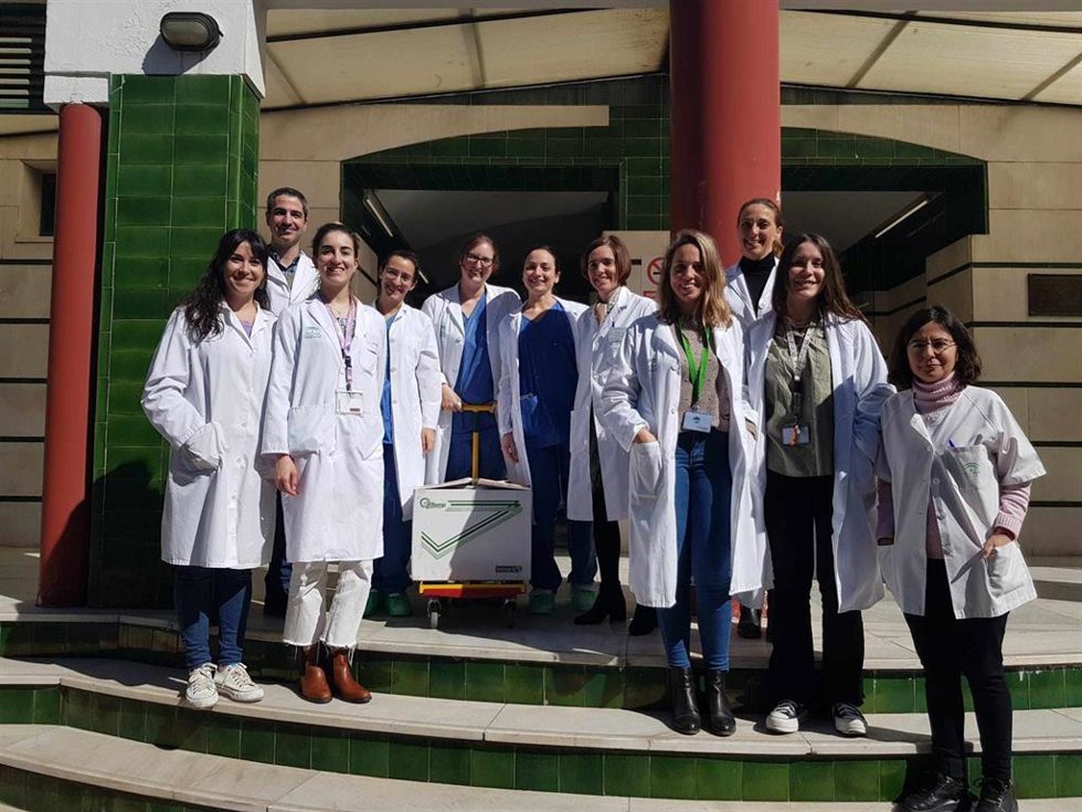 Equipo de profesionales del Centro de Tejidos y Células que investiga con linfocitos T modificados genéticamente.