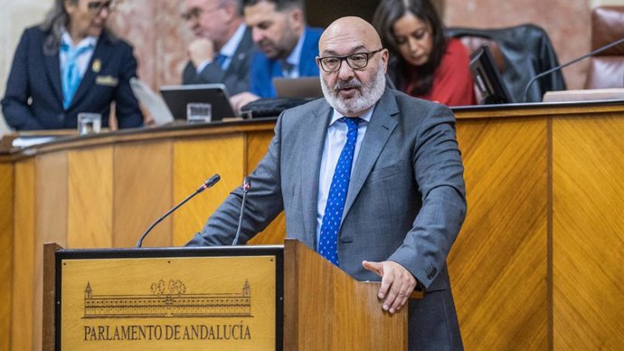 El parlamentario andaluz de Vox Alejandro Hernández, en el Pleno del Parlamento.