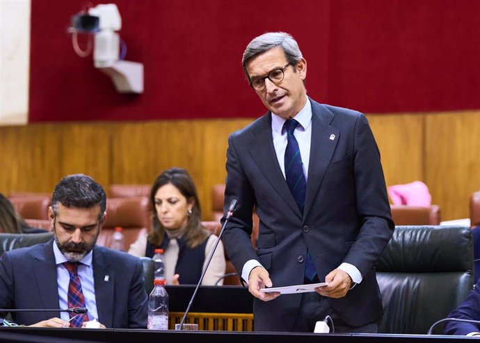 El consejero de Industria, Energía y Minas, Jorge Paradela, durante su intervención en el Pleno del Parlamento.