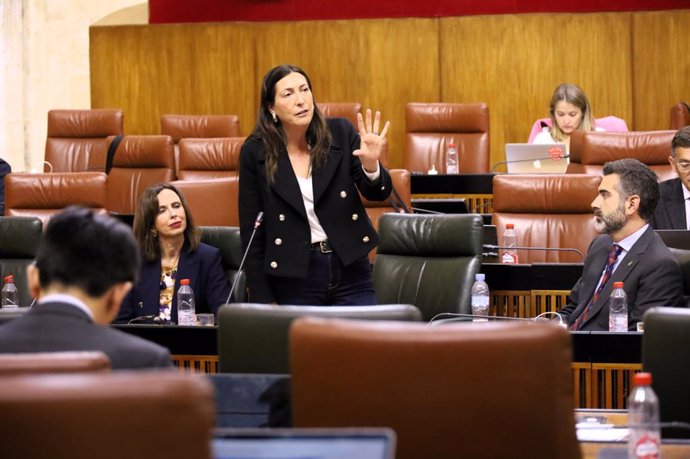 La consejera de Inclusión Social, Loles López, en el Pleno del Parlamento de Andalucía.