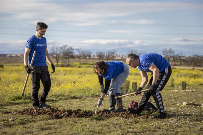 Empleados de DeutscheBank participando en una actividad de reforestación.