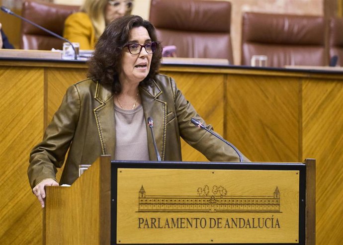 La portavoz de Educación del Grupo Socialista en el Parlamento andaluz, Susana Rivas.