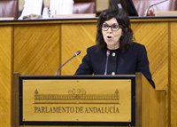 El Parlamento pide por unanimidad a la Junta un nuevo Plan Andaluz de Urgencias y Emergencias sanitarias