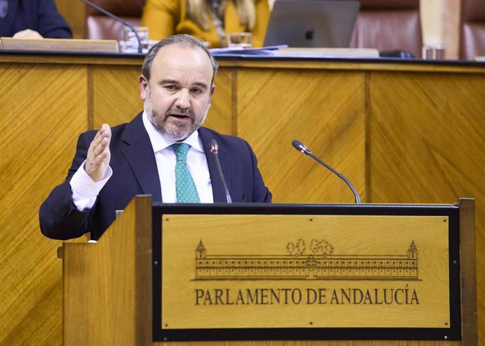 El parlamentario del PP-A Manuel Alberto Sanromán interviene en el Pleno del Parlamento.