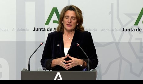 Vídeos