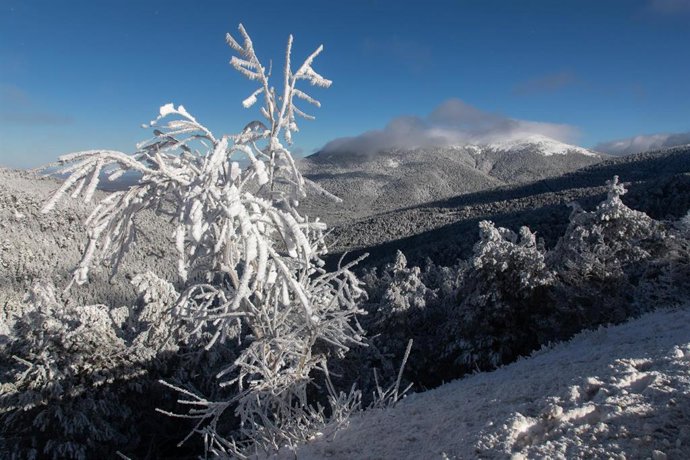Archivo - Vista del Pico Peñalara (al fondo) desde el Puerto de Navacerrada, a 7 de enero de 2024, en Madrid (España). 
