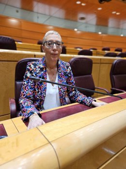 La senadora turolense del PSOE María José Villalba en el Senado.
